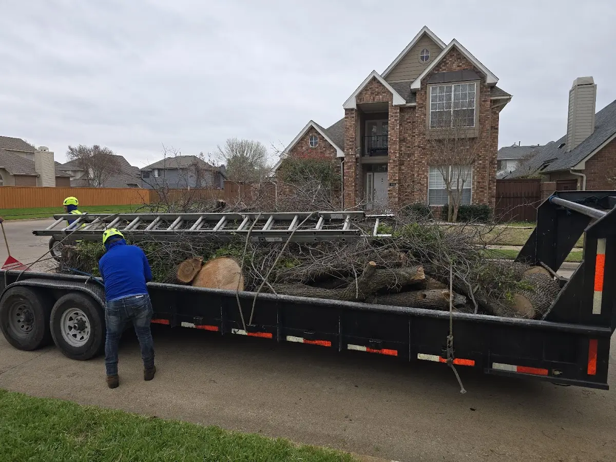 Expert Tree Pest Control with proper safety equipment in Hereford